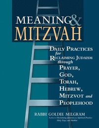 bokomslag Meaning & Mitzvah: Daily Practices for Reclaiming Judaism Through Prayer, God, Torah, Hebrew, Mitzvot and Peoplehood