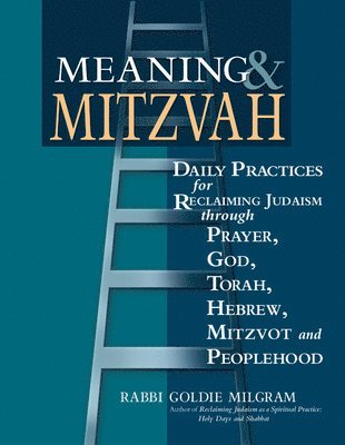 bokomslag Meaning & Mitzvah: Daily Practices for Reclaiming Judaism Through Prayer, God, Torah, Hebrew, Mitzvot and Peoplehood