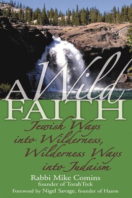 bokomslag A Wild Faith