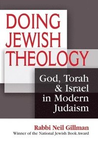 bokomslag Doing Jewish Theology