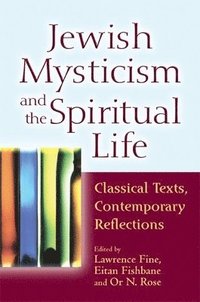 bokomslag Jewish Mysticism and the Spiritual Life