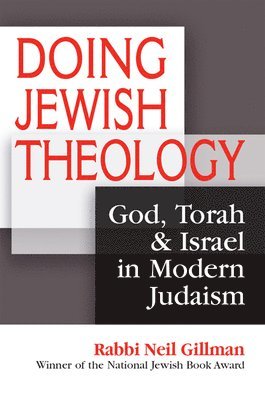 bokomslag Doing Jewish Theology: God, Torah & Israel in Modern Judaism