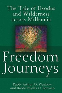 bokomslag Freedom Journeys