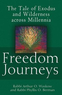 bokomslag Freedom Journeys: The Tale of Exodus and Wilderness Across Millennia