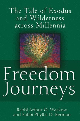 bokomslag Freedom Journeys: The Tale of Exodus and Wilderness Across Millennia