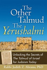 bokomslag The Other TalmudThe Yerushalmi