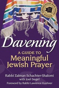 bokomslag Davening: A Guide to Meaningful Jewish Prayer