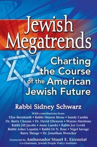 bokomslag Jewish Megatrends: Charting the Course of the American Jewish Future