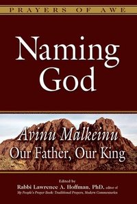 bokomslag Naming God: Avinu Malkeinu--Our Father, Our King
