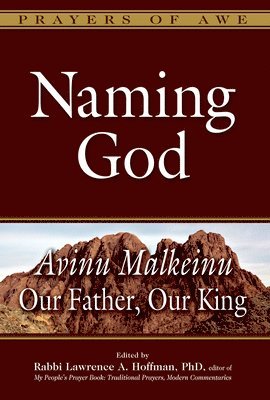 bokomslag Naming God: Avinu Malkeinu--Our Father, Our King