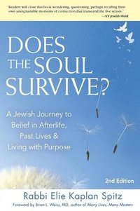 bokomslag Does the Soul Survive? (2nd Edition)
