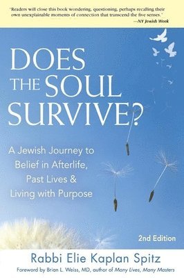 bokomslag Does the Soul Survive? (2nd Edition)