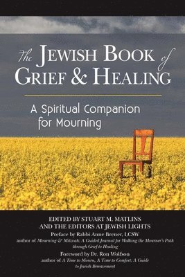 bokomslag The Jewish Book of Grief & Healing