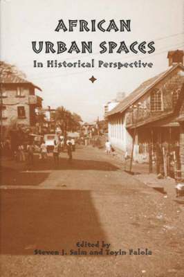 bokomslag African Urban Spaces in Historical Perspective: 21