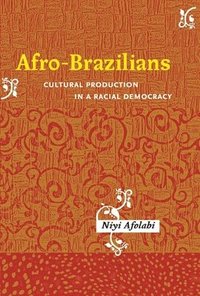 bokomslag Afro-Brazilians