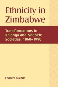 bokomslag Ethnicity in Zimbabwe