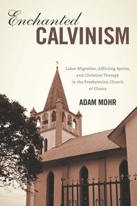 bokomslag Enchanted Calvinism
