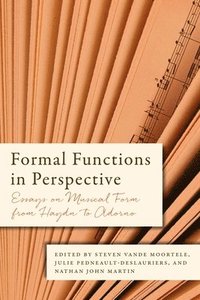 bokomslag Formal Functions in Perspective