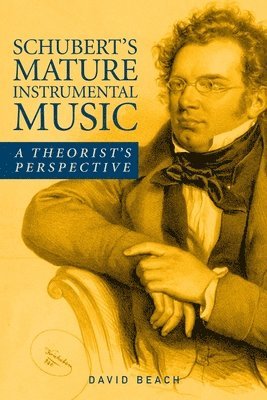 David Beach - Schubert's Mature Instrumental Music, Inbunden