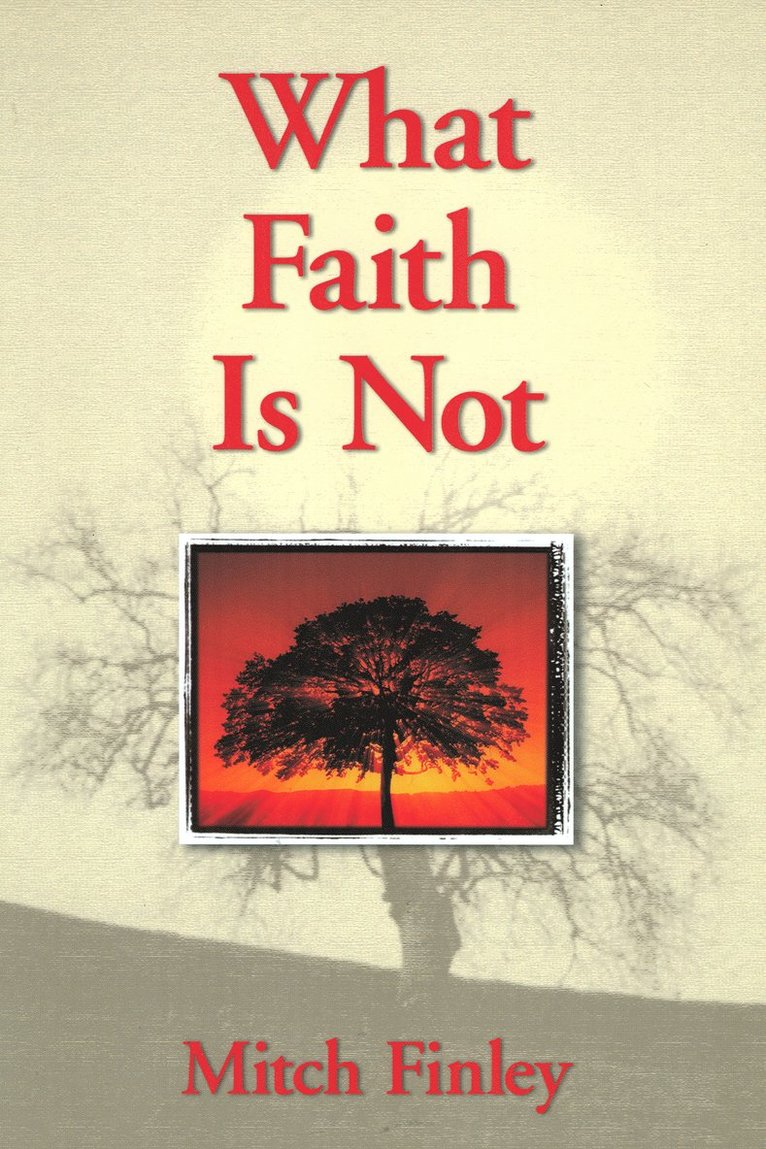 Mitch Finley - What Faith Is Not, Häftad