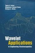 Magdalena Salazar-Palma, Tapan Sarkar, Michael Wicks - Wavelet Application in Engineering Electromagnetics, Inbunden