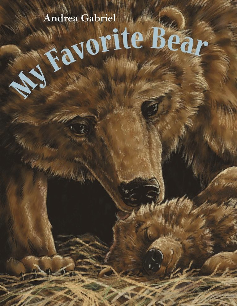 My Favorite Bear