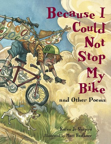 Karen Jo Shapiro - Because I Could Not Stop My Bike, Häftad