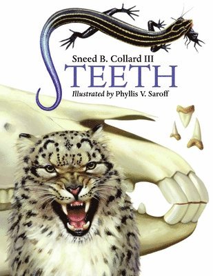 bokomslag Teeth