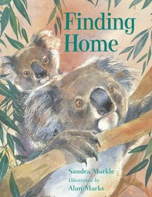 Sandra Markle - Finding Home, Häftad