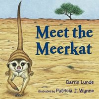 bokomslag Meet the Meerkat