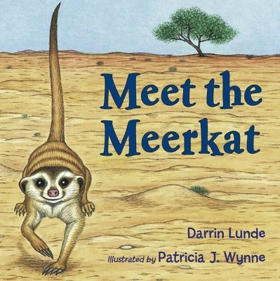 Meet the Meerkat 1