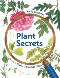 bokomslag Plant Secrets