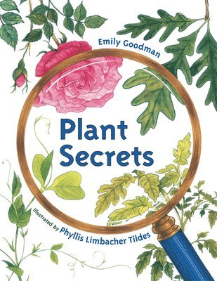bokomslag Plant Secrets