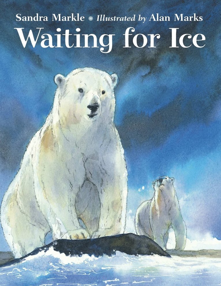 Sandra Markle - Waiting for Ice, Inbunden