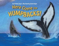 bokomslag Here Come the Humpbacks!