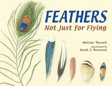 bokomslag Feathers