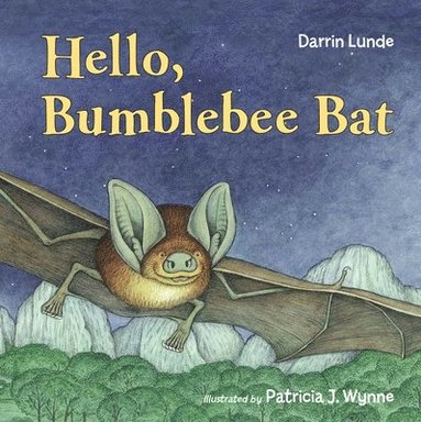 bokomslag Hello, Bumblebee Bat