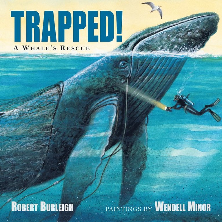 Robert Burleigh, Wendell Minor - Trapped!, Häftad