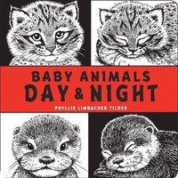 bokomslag Baby Animals Day & Night
