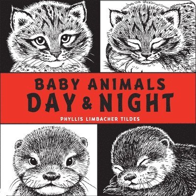 Baby Animals Day & Night 1
