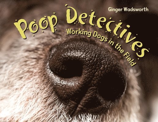 Ginger Wadsworth - Poop Detectives, Inbunden