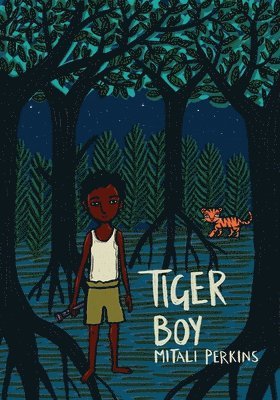 bokomslag Tiger Boy
