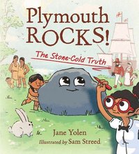 bokomslag Plymouth Rocks
