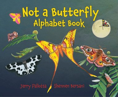 Jerry Pallotta, Shennen Bersani - Not a Butterfly Alphabet Book, Häftad