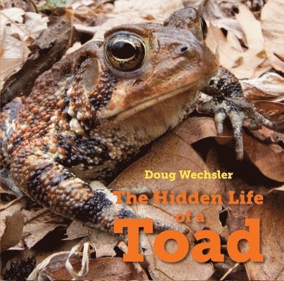 Doug Wechsler - Hidden Life of a Toad, Inbunden