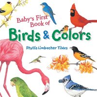 bokomslag Baby's First Book of Birds & Colors