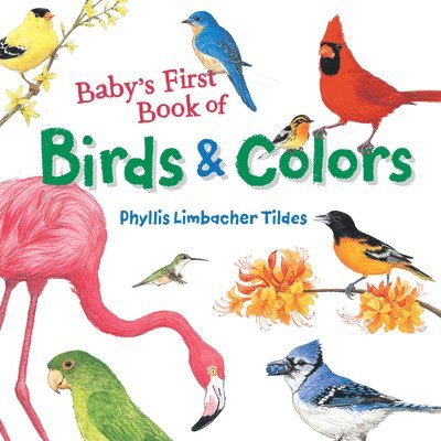 Baby's First Book of Birds & Colors 1