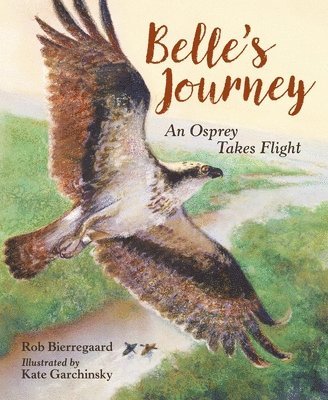 Belle's Journey 1