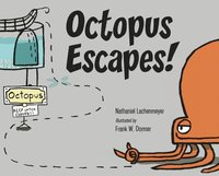 bokomslag Octopus Escapes!