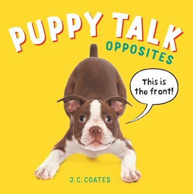 bokomslag Puppy Talk